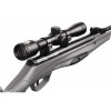 Пневматическая винтовка Stoeger RX20 Synthetic Stock Combo ОП 4х32 Grey (SRX205011A)