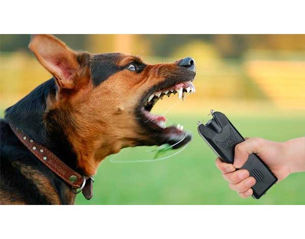 Электрошокер как эффективное средство защиты от нападения собак и других животных